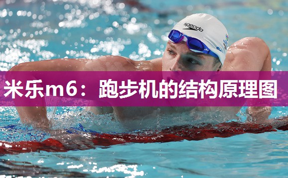 跑步机的结构原理图