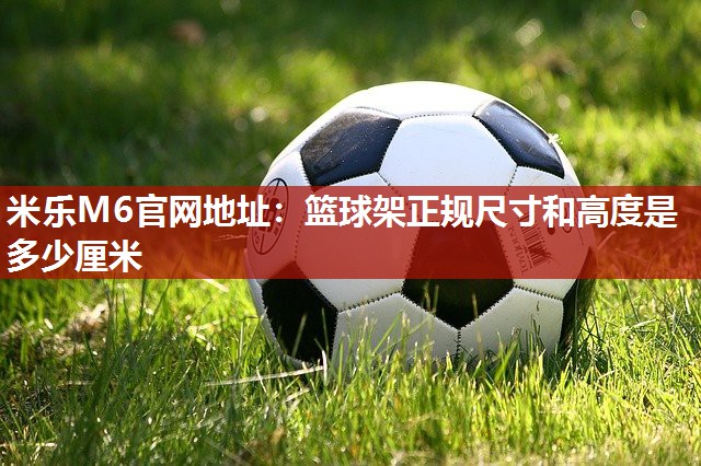 篮球架正规尺寸和高度是多少厘米
