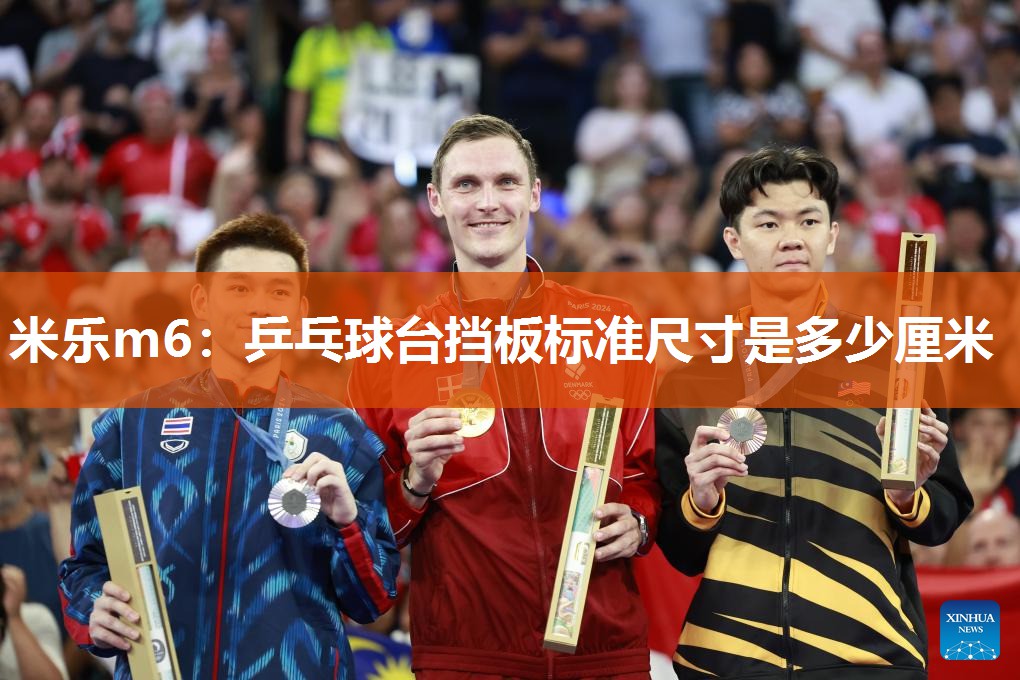 乒乓球台挡板标准尺寸是多少厘米